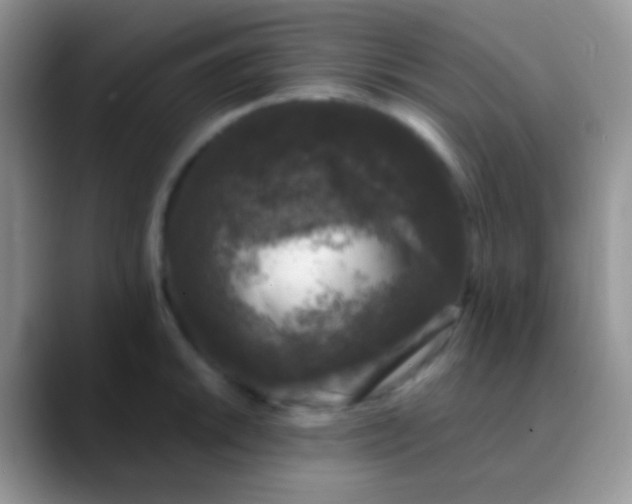 X0000089881046200707191953