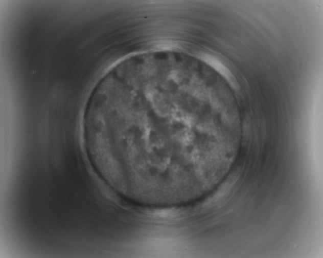 X0000089881047200707191953