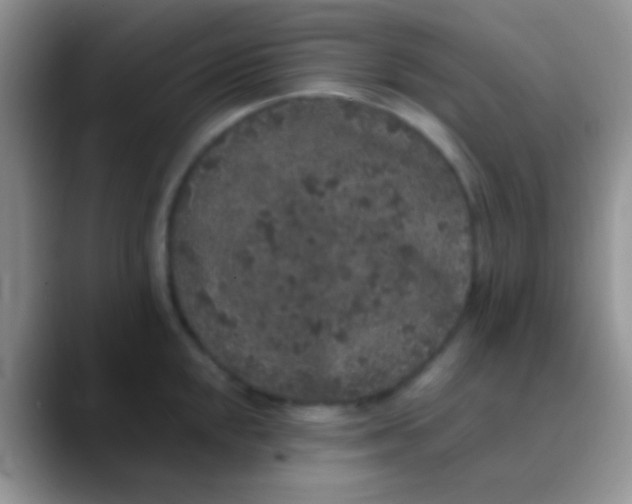 X0000089881048200707191953