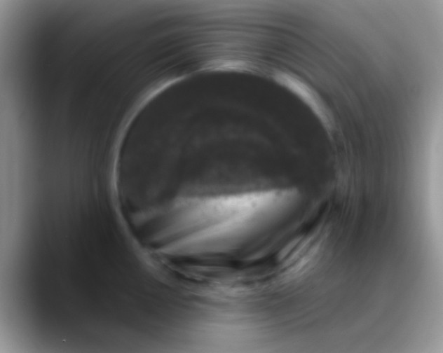 X0000089881050200707191953