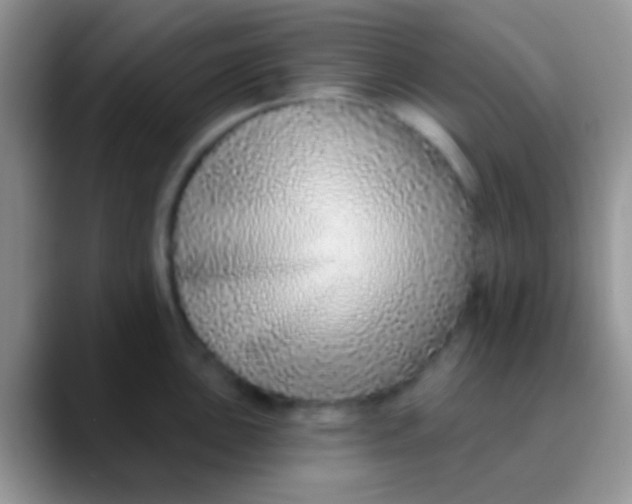 X0000089881051200707191953