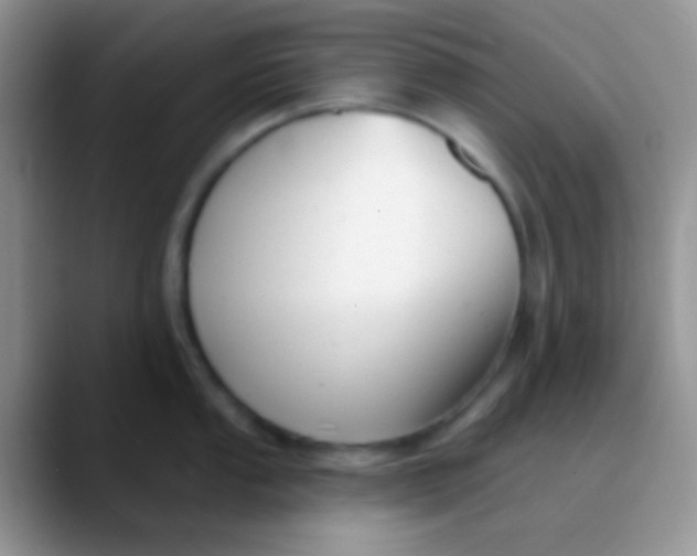 X0000089881053200707191953