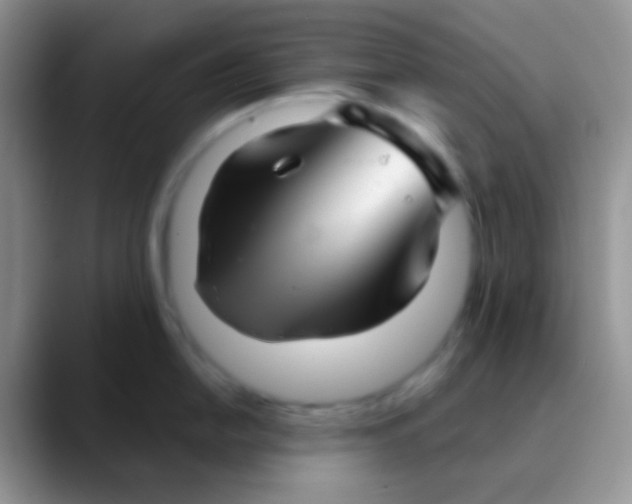 X0000089881054200707191953