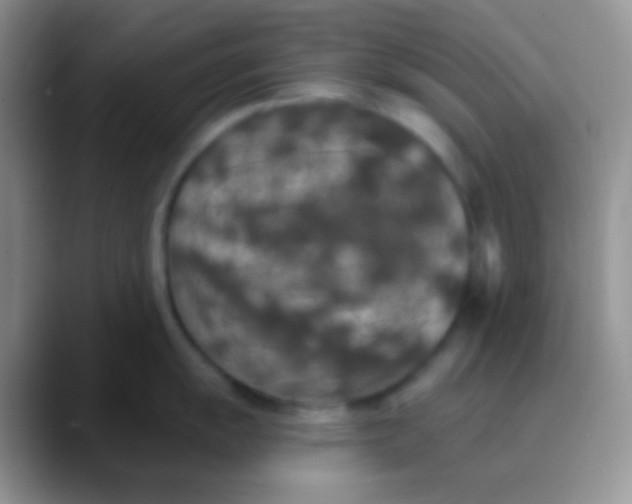 X0000089881055200707191953