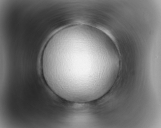 X0000089881056200707191953