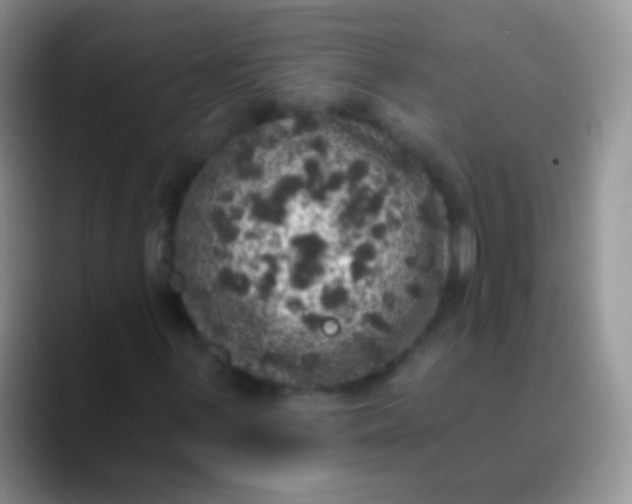 X0000089881059200707191952