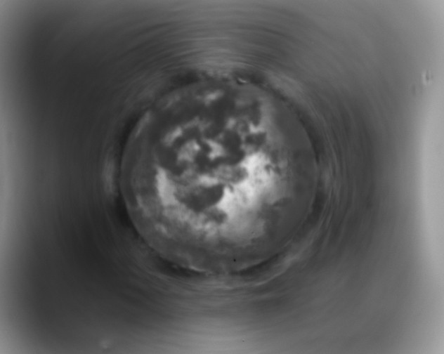 X0000089881060200707191952