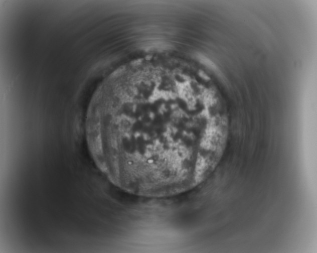 X0000089881063200707191952