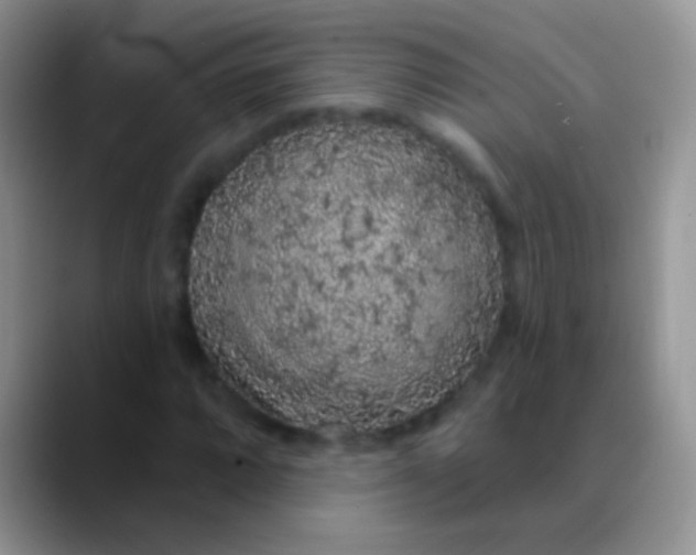 X0000089881064200707191952