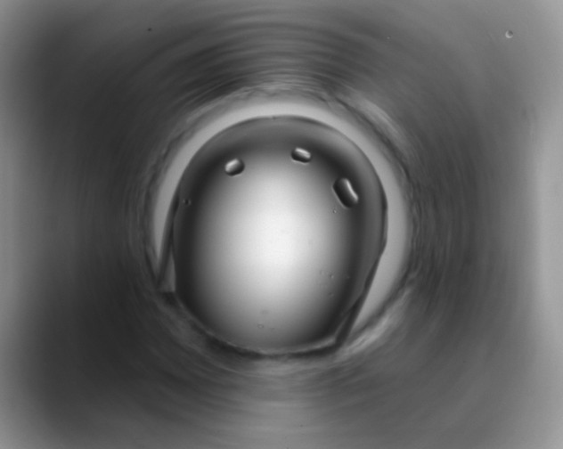 X0000089881065200707191952