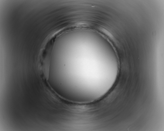 X0000089881066200707191952