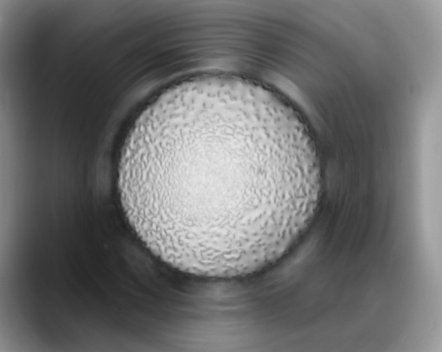 X0000089881067200707191952