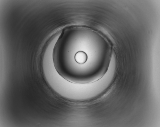 X0000089881069200707191952