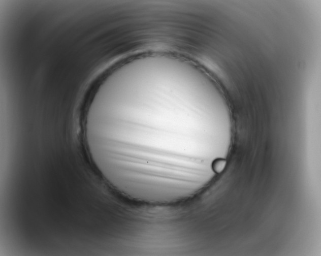 X0000089881070200707191952