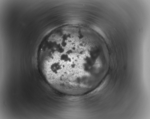 X0000089881071200707191952