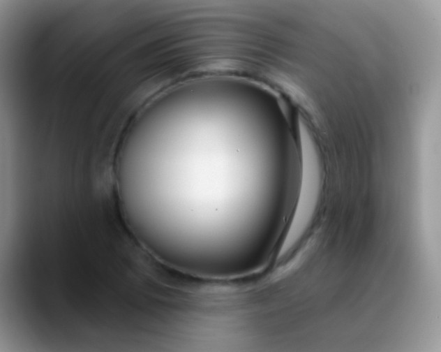 X0000089881073200707191952