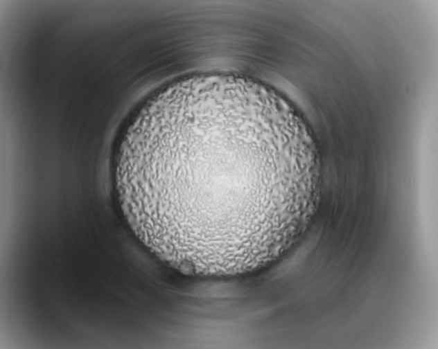 X0000089881075200707191952