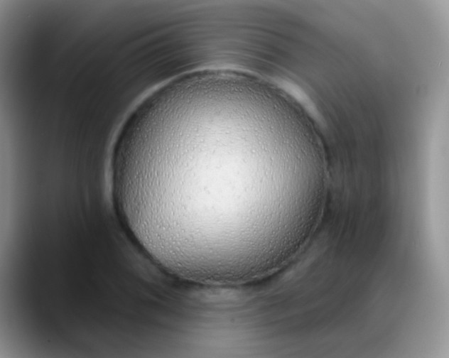 X0000089881076200707191952