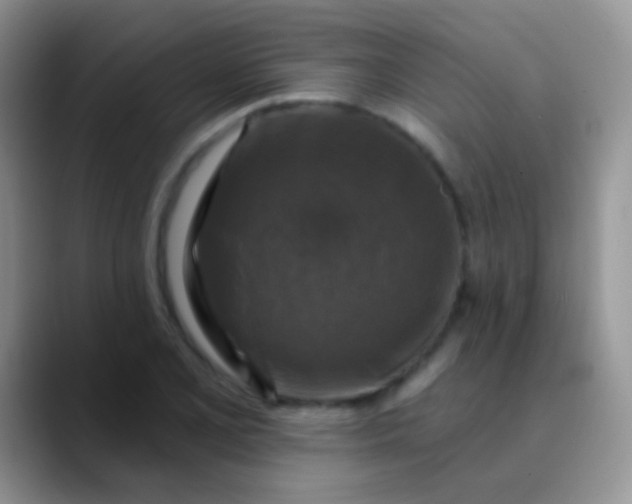 X0000089881077200707191952