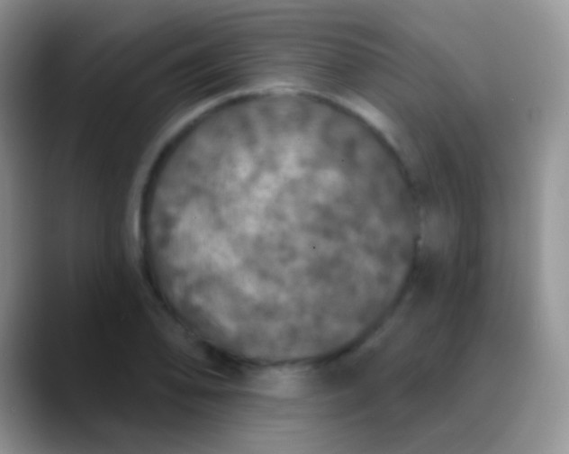 X0000089881078200707191952