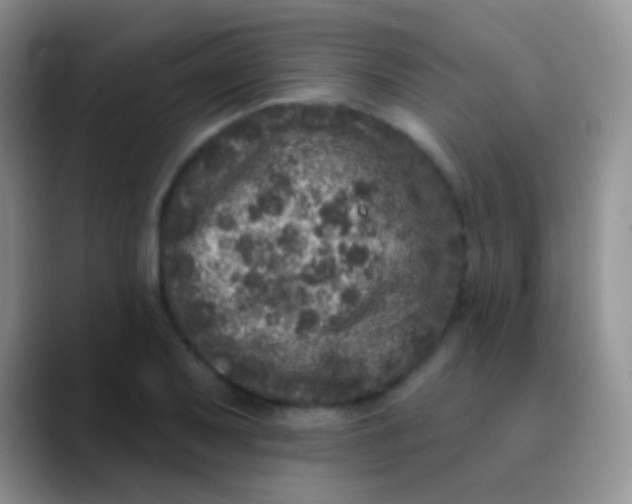 X0000089881079200707191952