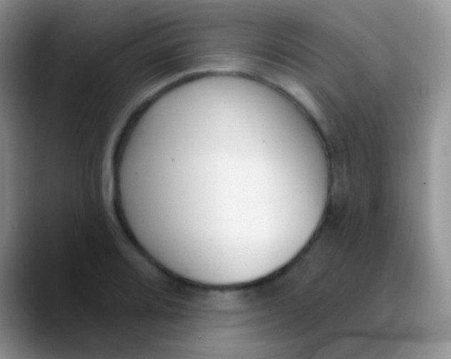 X0000089881080200707191952