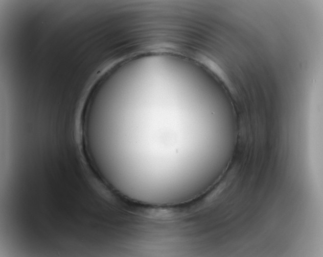 X0000089881082200707191952