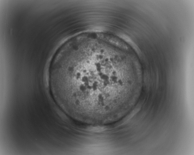 X0000089881083200707191952