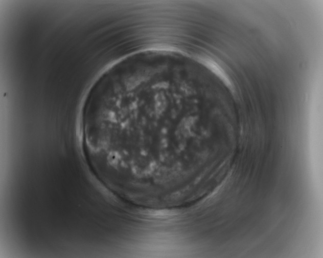 X0000089881084200707191952