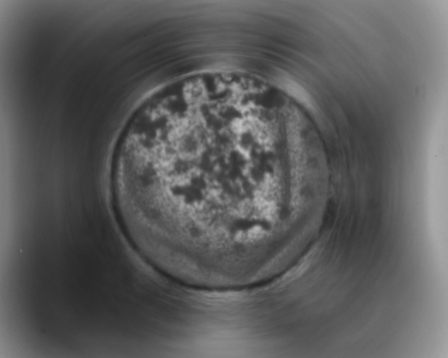 X0000089881087200707191952