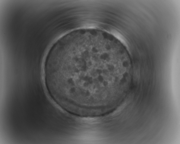 X0000089881088200707191952