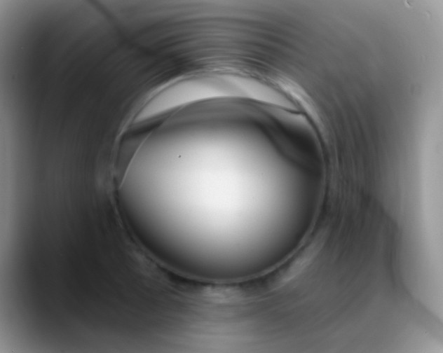 X0000089881089200707191952