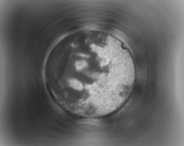 X0000089881090200707191952