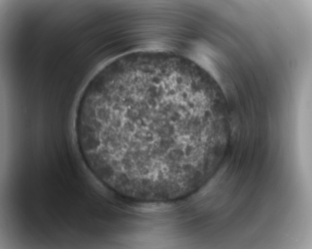 X0000089881091200707191952