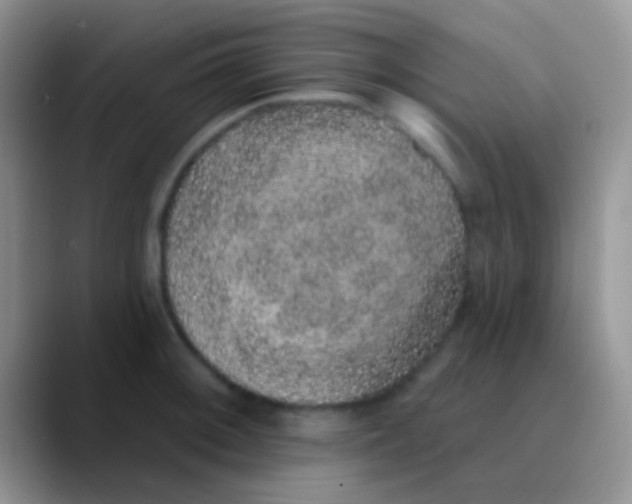 X0000089881092200707191952