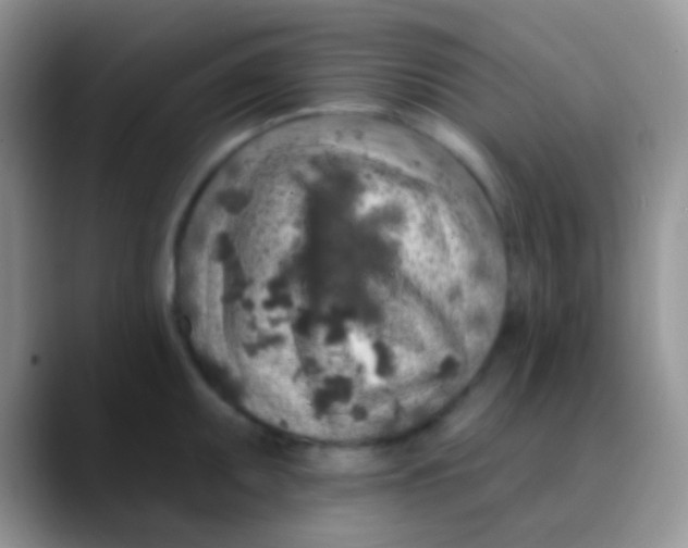 X0000089881095200707191952