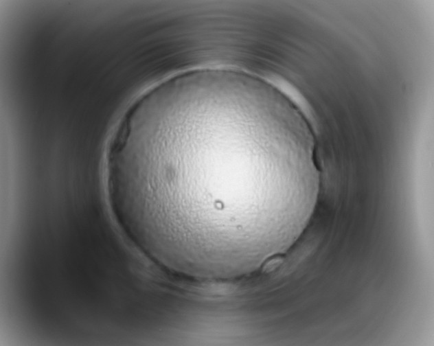 X0000089881096200707191952