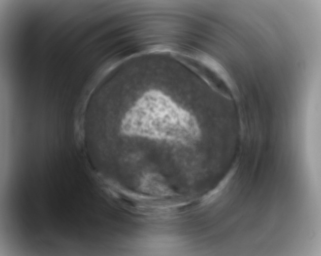 X0000089881097200707191952