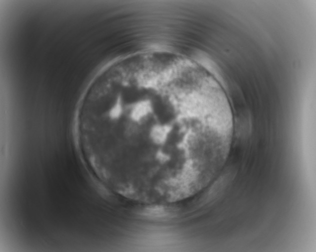 X0000089881098200707191952