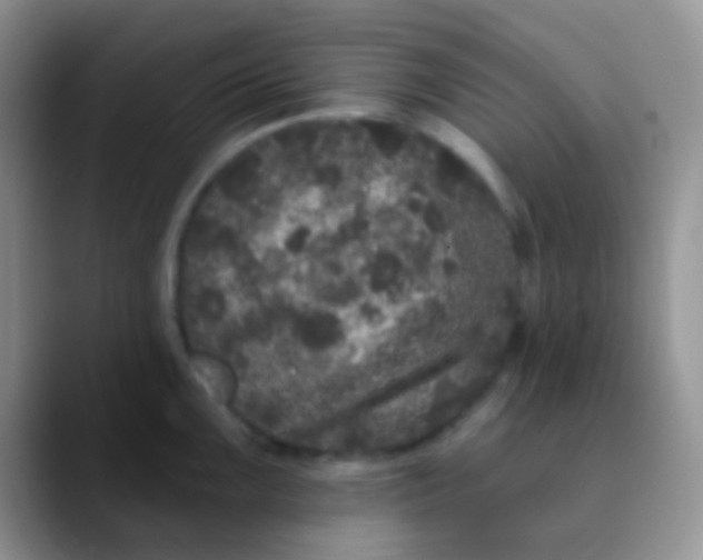 X0000089881099200707191952