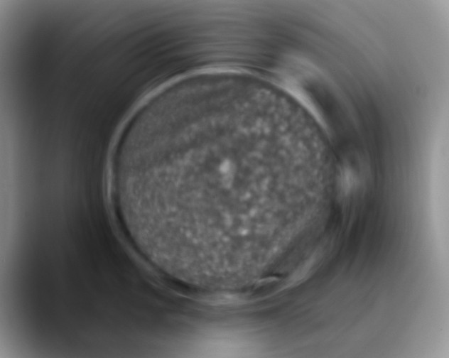 X0000089881101200707191952