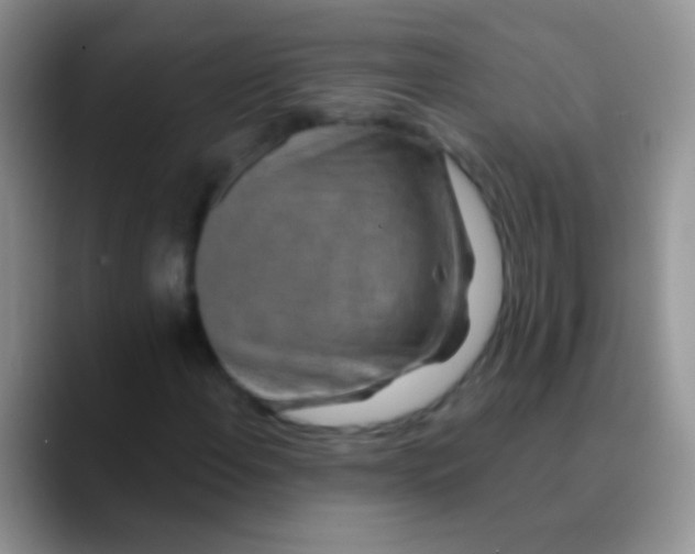 X0000089881108200707191951