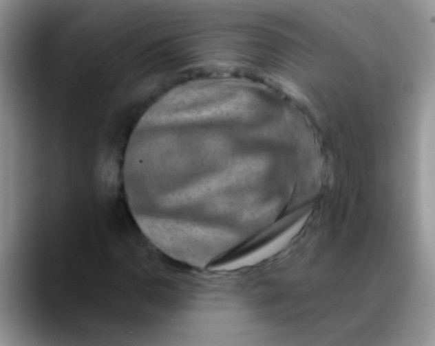 X0000089881110200707191951