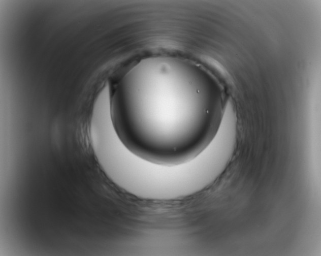 X0000089881112200707191951