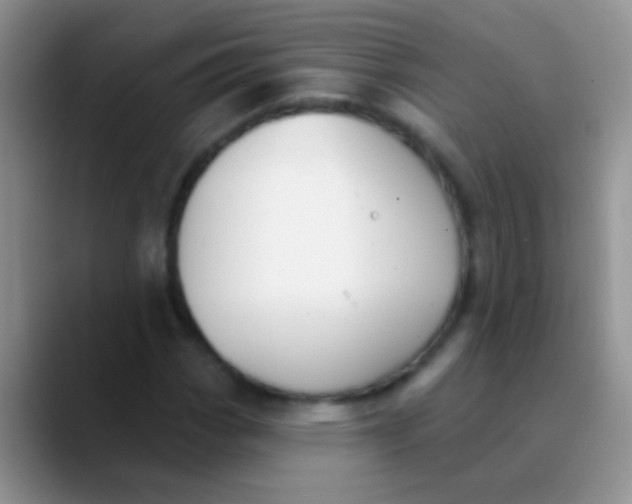 X0000089881113200707191951