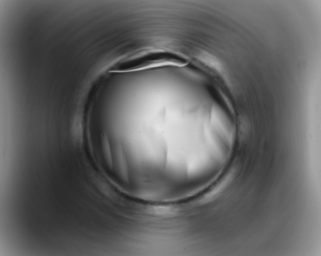 X0000089881114200707191951