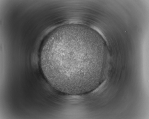 X0000089881115200707191951