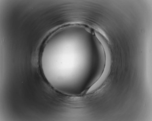 X0000089881116200707191951