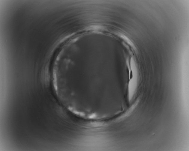 X0000089881117200707191951