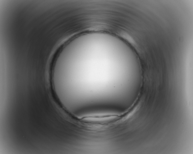 X0000089881122200707191951